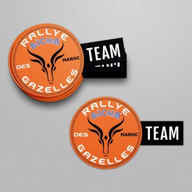 Lot de 10 grands stickers Logo Team